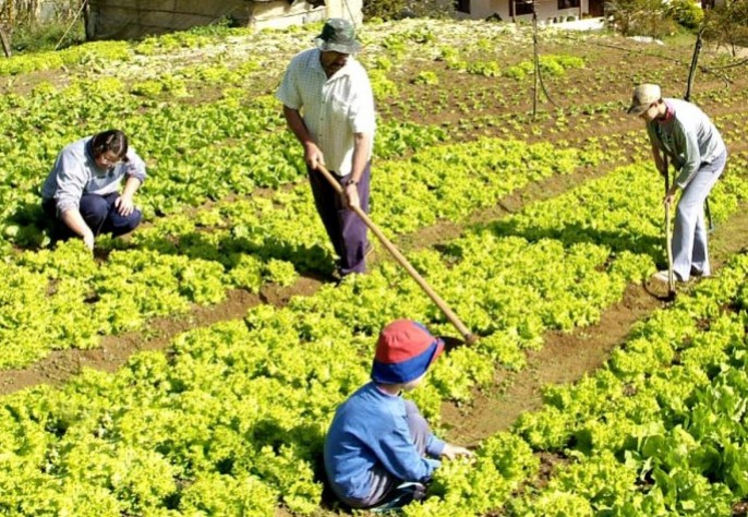 Agricultores pedem redução de juros para produzir alimentos
