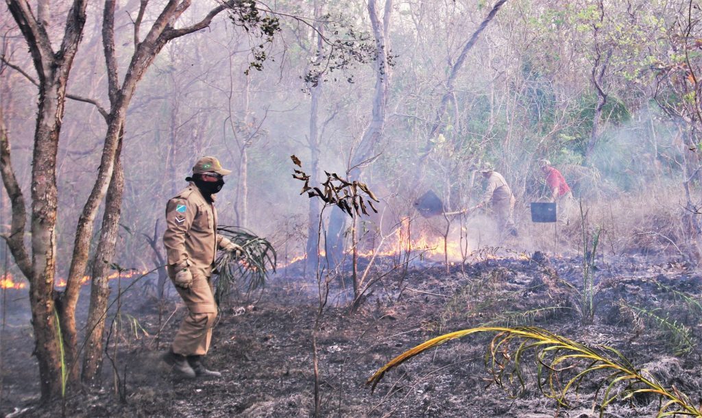 Combate à queimada na Caiman se transforma em "operação de guerra"