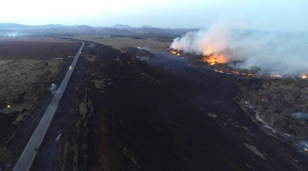 Queimadas aumentam e Ibama estima 1 milhão de hectares em cinzas