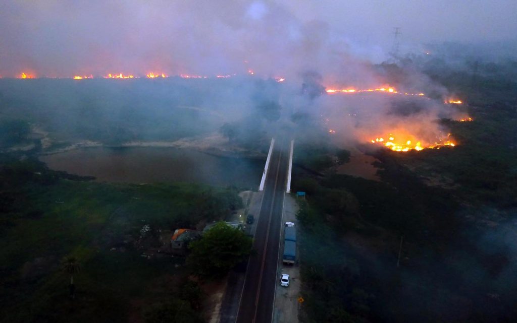 Ibama suspeita que incêndios em MS foram provocados por ação humana