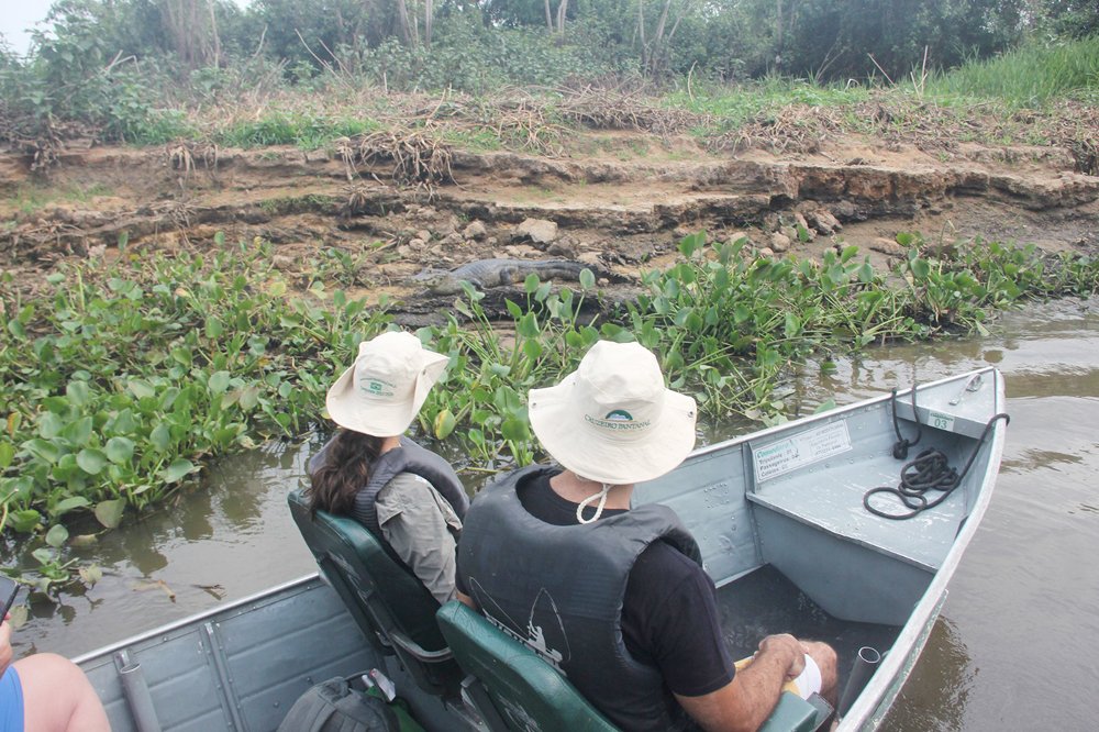 Cruzeiros de contemplação movimentam o turismo no Pantanal