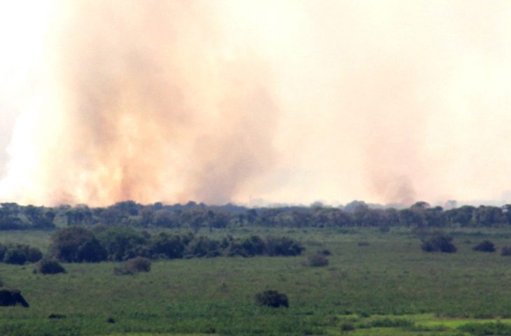 Bombeiros intensificam combate a dois grandes incêndios no Pantanal de Corumbá