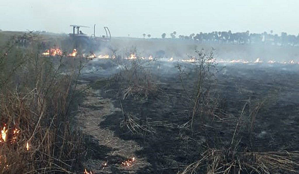 Bombeiros combatem incêndios no Pantanal do Nabileque