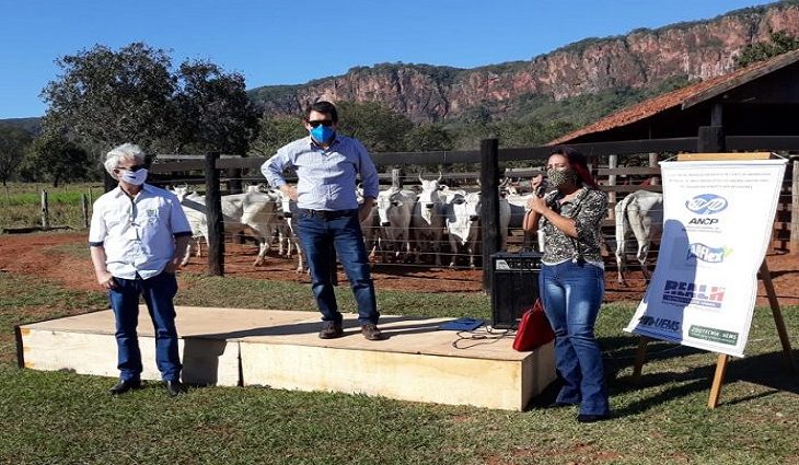 Leilão de bovinos realizado pela SAD supera meta e arrecada R$ 106 mil