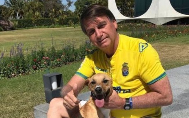 Bolsonaro vai sancionar lei que amplia pena para quem comete maus-tratos contra animais