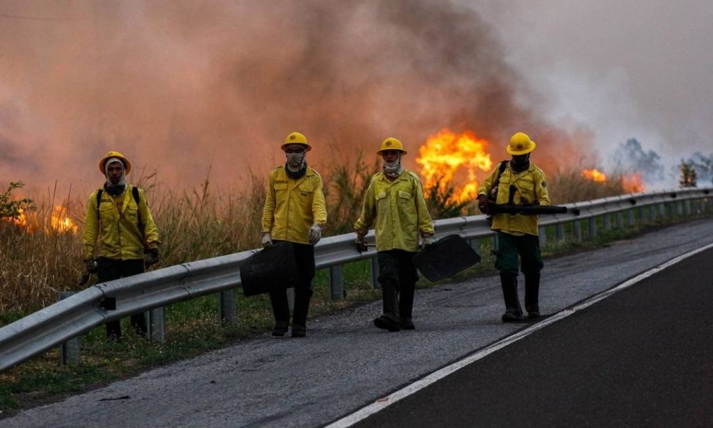 Senado cria comissão para fiscalizar ações contra incêndios no Pantanal