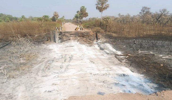 Queimadas no Pantanal já destruíram mais ide 100 metros de pontes em estradas de MS