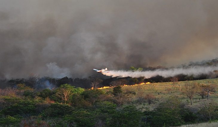 Incêndios no Pantanal já atingem quase metade das terras indígenas da região