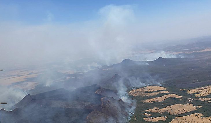 Ministro do Meio Ambiente inspeciona áreas afetadas por queimadas em MT