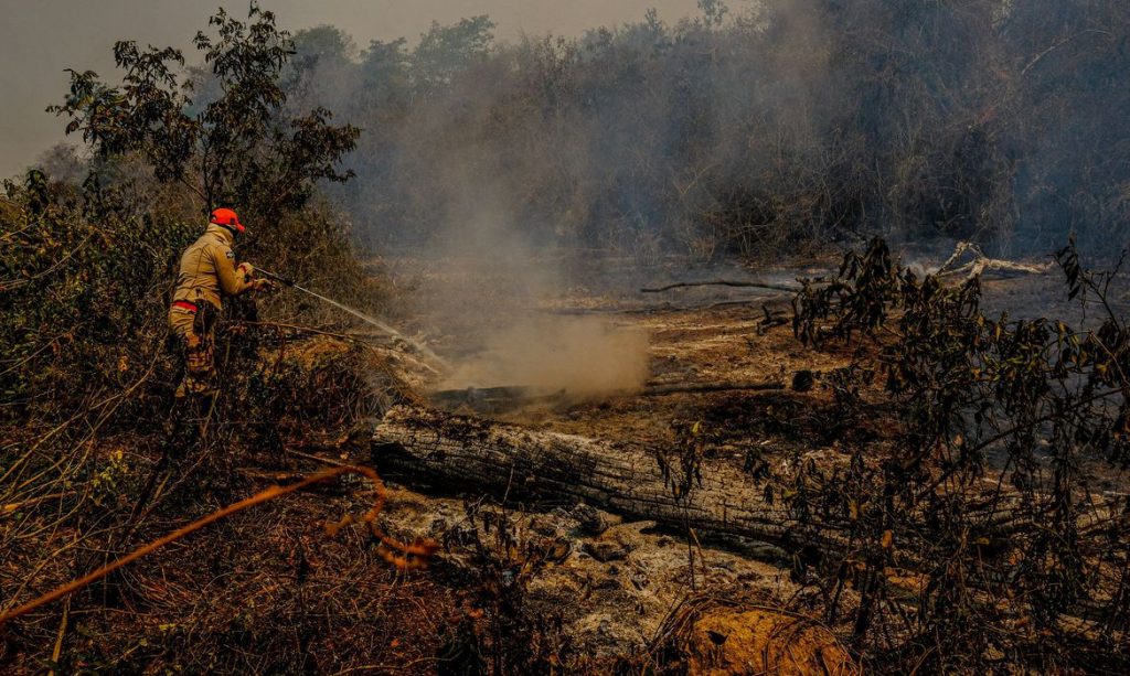 PF e governos de MS e MT apuram causas de incêndios no Pantanal