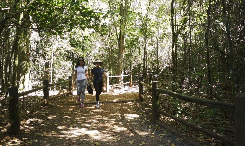 Para estimular ecoturismo, governo federal regulamenta projeto sobre trilhas no Brasil