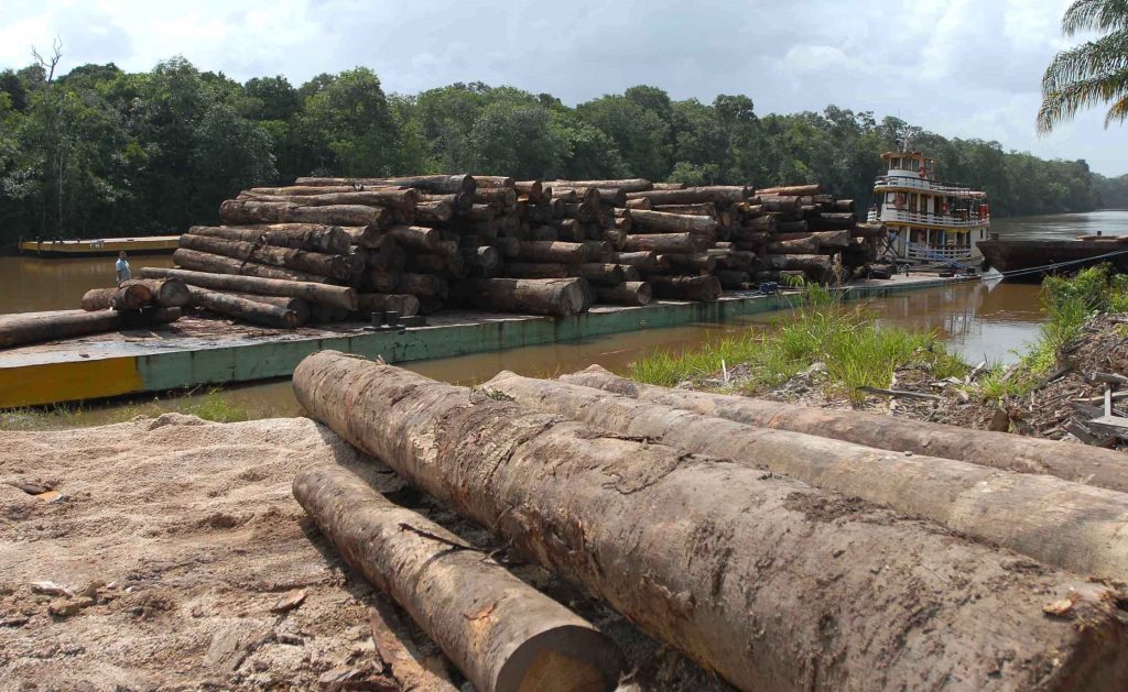 Bolsonaro ameaça divulgar lista de países que importam madeira ilegal do Brasil