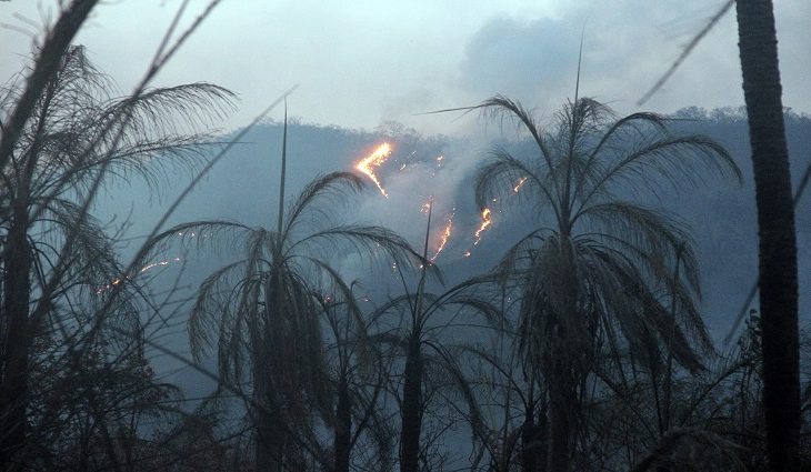 Bombeiros reforçam combate aos novos focos de incêndios no Pantanal