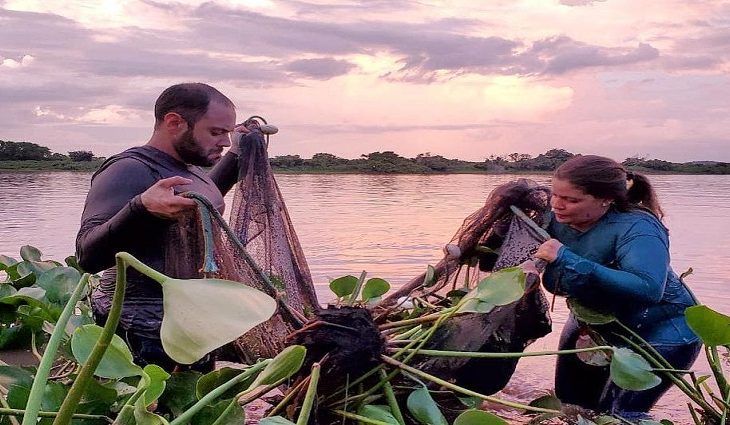 Pesquisadores catalogam 104 novas espécies e ampliam inventário de peixes do Pantanal