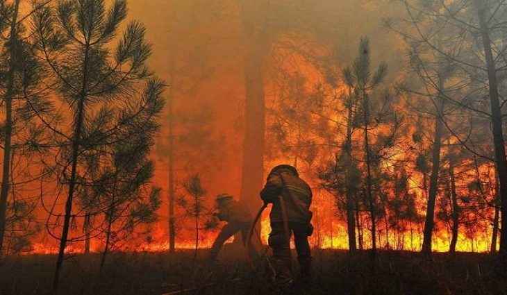 MS terá R$ 56 milhões para combate permanente aos incêndios florestais