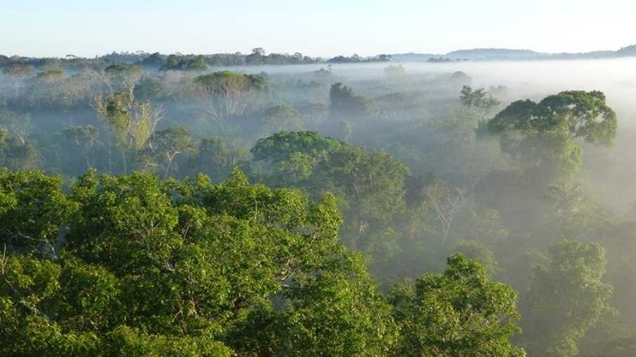 Desmatamento na Amazônia bate recorde da década e cresce 30% em 1 ano