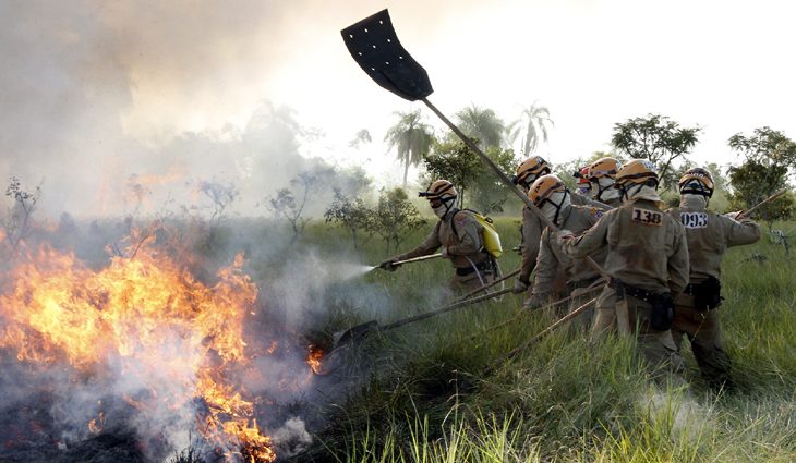 Para reforçar combate a incêndios, 151 novos bombeiros passam por capacitação